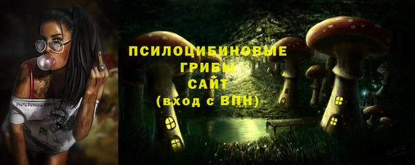 первитин Дмитриев