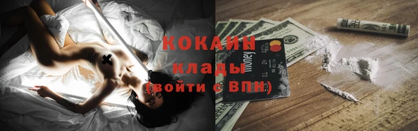 гидра Кущёвская