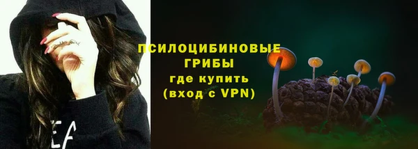 первитин Дмитриев