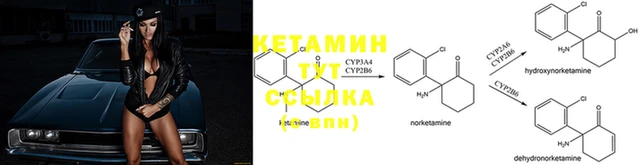 первитин Дмитриев