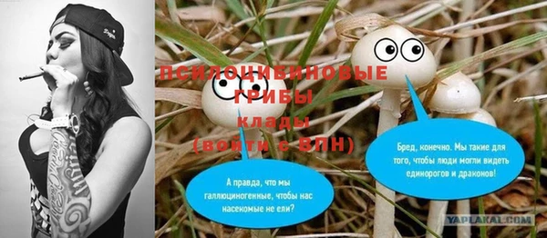 spice Гусиноозёрск