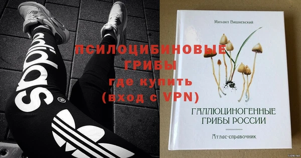 первитин Дмитриев