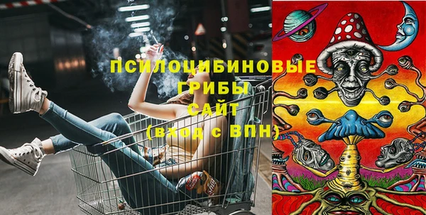 первитин Дмитриев
