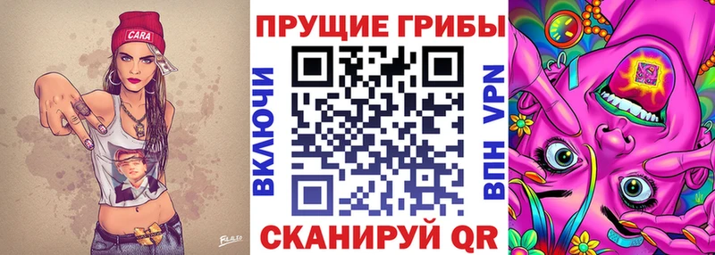 Псилоцибиновые грибы мицелий Мценск