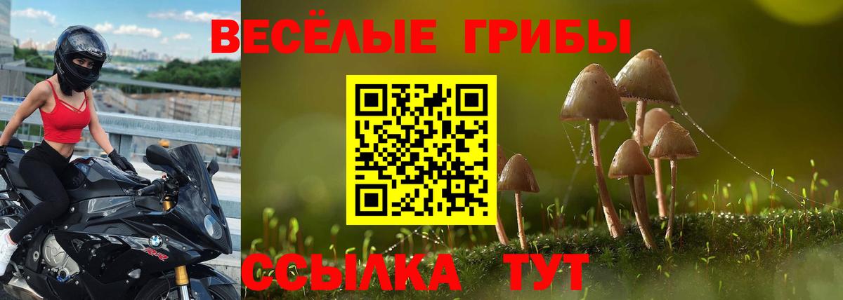 Мценск  Галлюциногенные грибы прущие грибы  Вход с VPN 