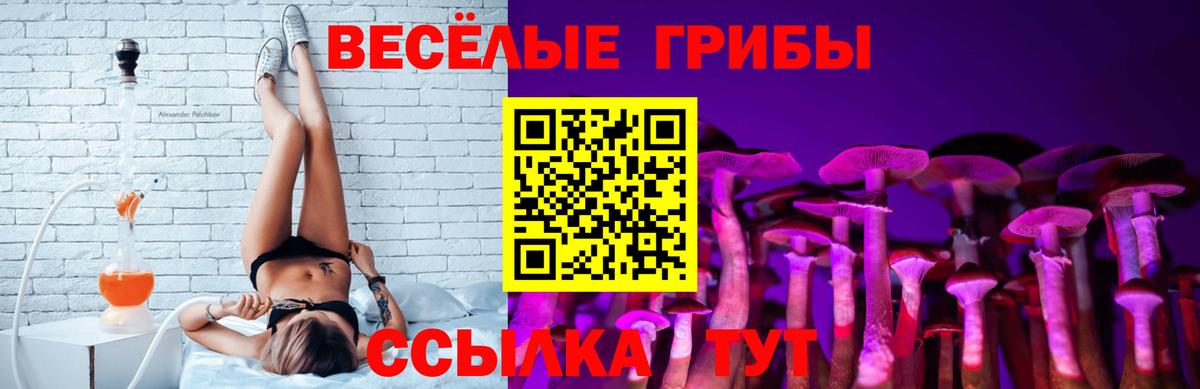 Галлюциногенные грибы Cubensis Мценск